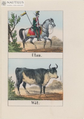 Mundury, powozy, zwierzęta, lata 50. XIX w.